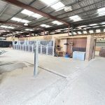 IMG_8440