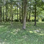 IMG_8475